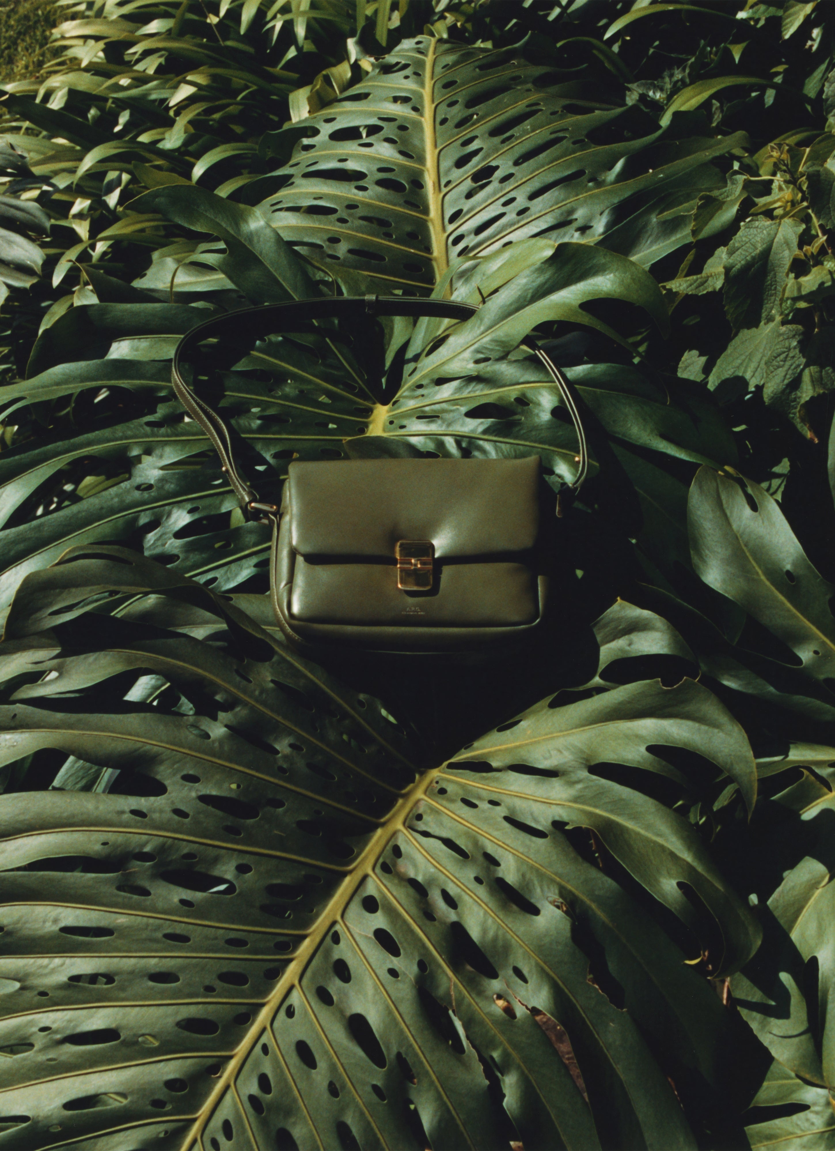 CARTE BLANCHE - RWANDA