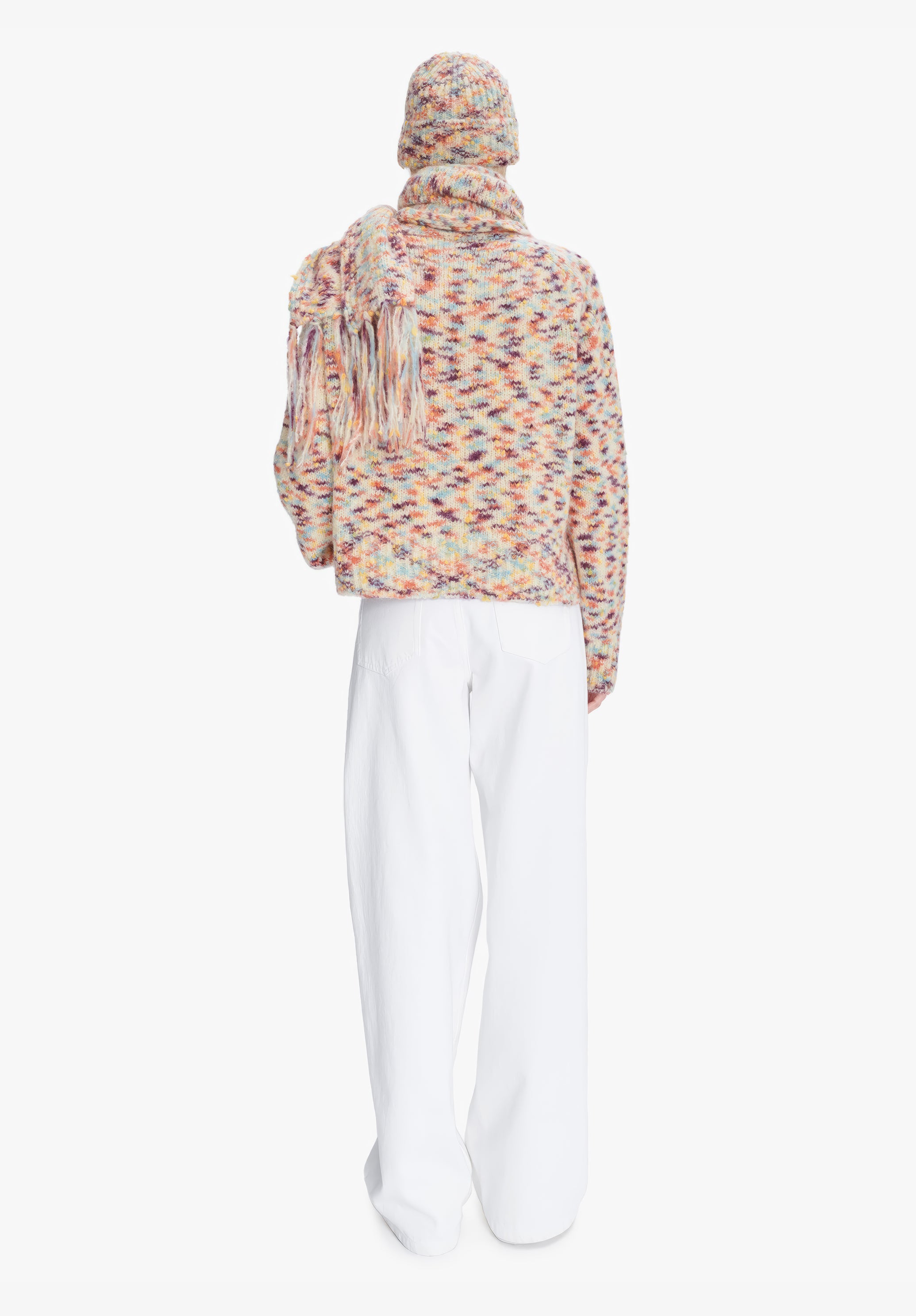 Philippine jumper - 3
